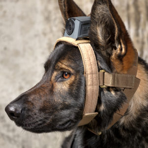 K9 Mount - MOHOC